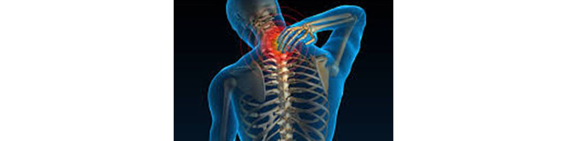Dr. Claudia Ng - All You Need to Know About Neck Pain